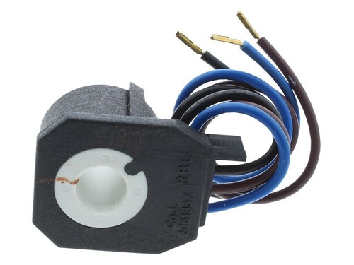 Firebird oil pump solenoid - firebird,